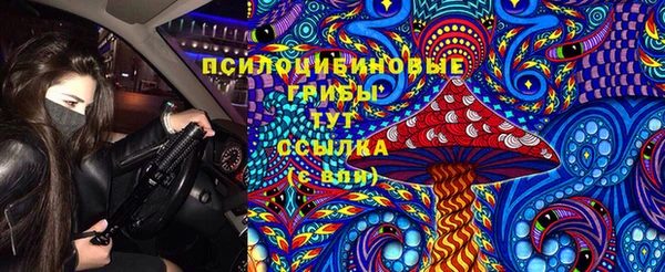 МДПВ Алексин