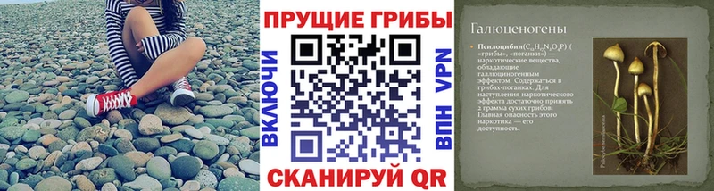Псилоцибиновые грибы прущие грибы  хочу наркоту  Бобров 